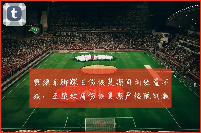 樊振东脚踝旧伤恢复期间训练量不减，王楚钦肩伤恢复期严格限制激增风险